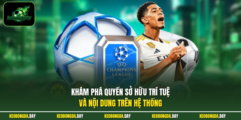 Khám phá quyền sở hữu trí tuệ và nội dung trên hệ thống