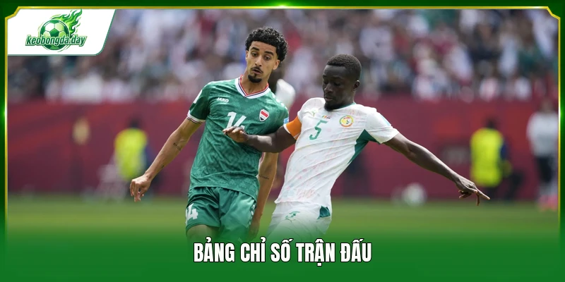 Bảng chỉ số trận đấu