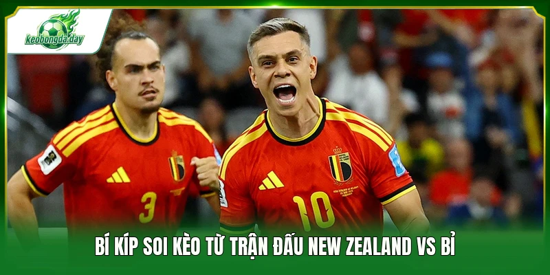 Bí kíp soi kèo từ trận đấu New Zealand vs Bỉ