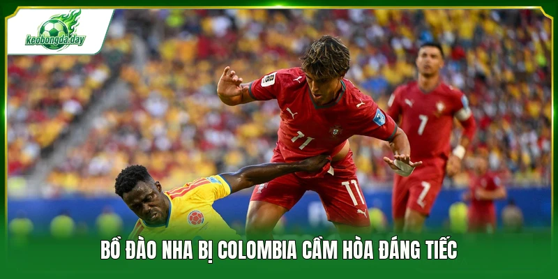Bồ Đào Nha bị Colombia cầm hòa đáng tiếc