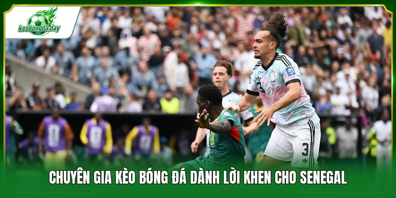 Chuyên gia Kèo bóng đá dành lời khen cho Senegal