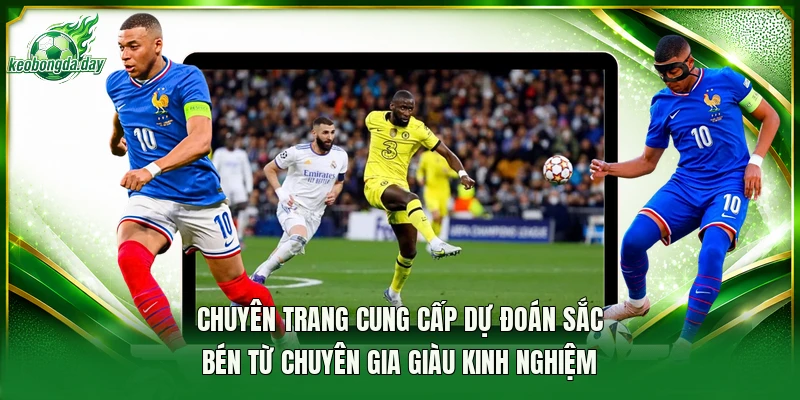 Chuyên trang cung cấp dự đoán sắc bén từ chuyên gia giàu kinh nghiệm
