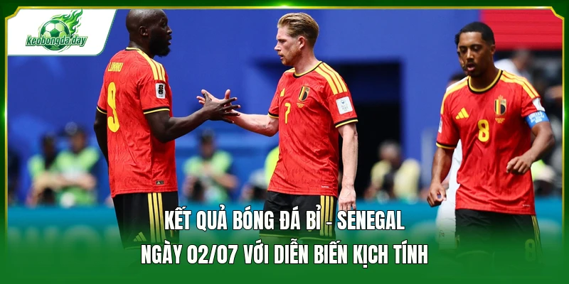 Kết quả bóng đá Bỉ - Senegal ngày 02/07 với diễn biến kịch tính