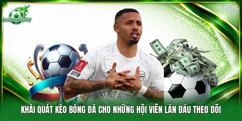 Khái quát Kèo Bóng Đá cho những hội viên lần đầu theo dõi